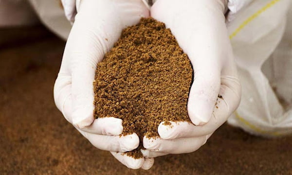 تصویر 5 از خرید و قیمت پودر ماهی چیلان + فروش عمده